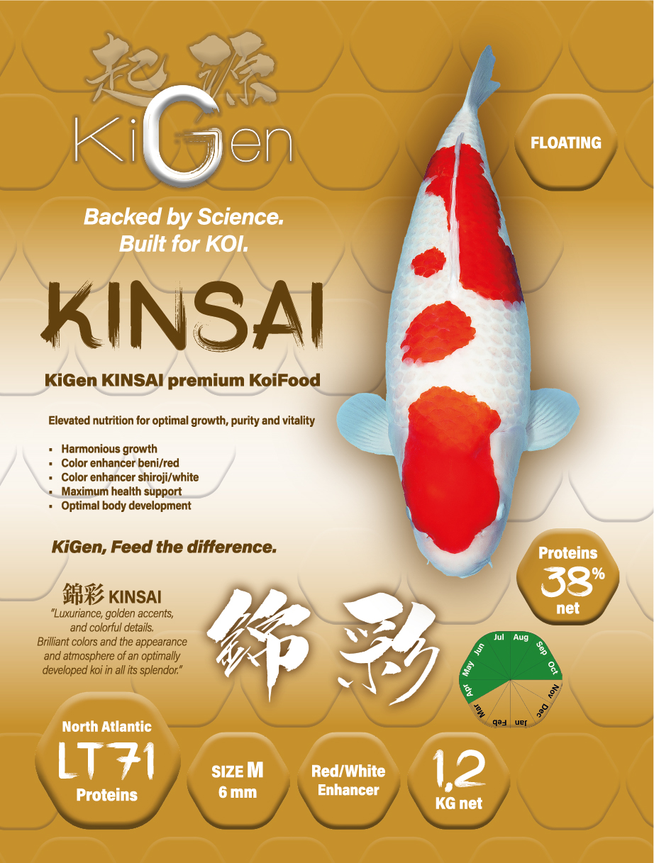 Kinsai 6mm (1,2kg)