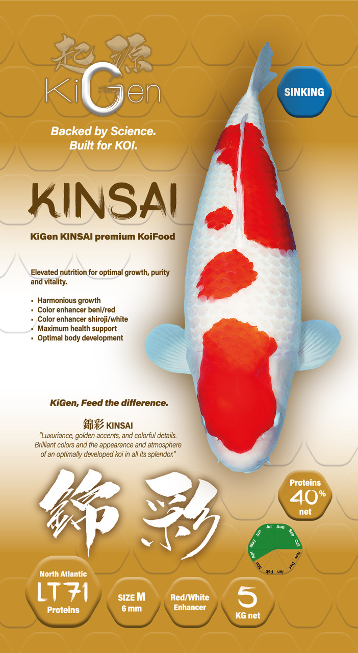 Kinsai sinking 6mm (5kg)