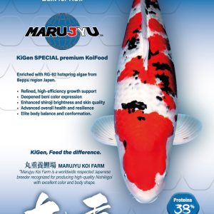 Marujyu Special sinking 6mm (10kg)