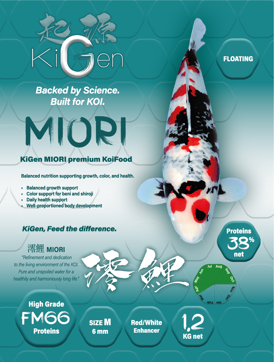 Miori 6mm (1,2kg)