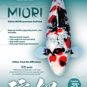 https://kigen.nl/wp-content/uploads/2026/02/KIGEN-bag-MIORI-10a-1-300x300.jpeg