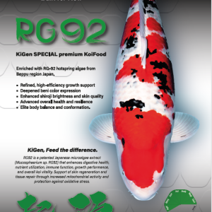 RG92 10F https://kigen.nl/wp-content/uploads/2026/07/RG92-10F-300x300.png