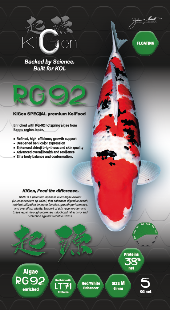 RG92 6mm (5kg)