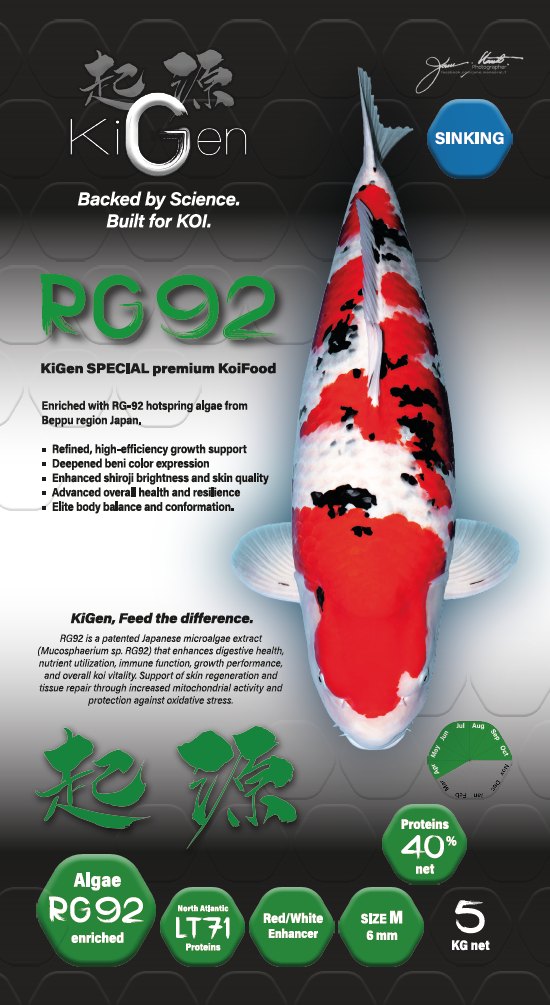 RG92 sinking 6mm (5kg)