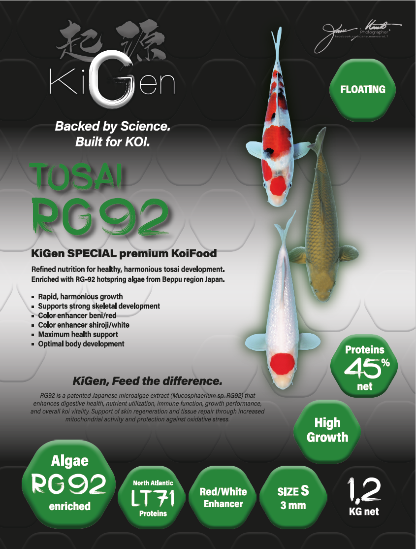 Tosai RG92 3mm (1.2 kg)