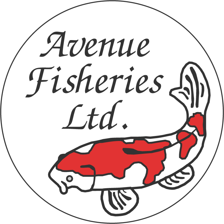 https://kigen.nl/wp-content/uploads/2026/09/Avenue-Fisheries.png