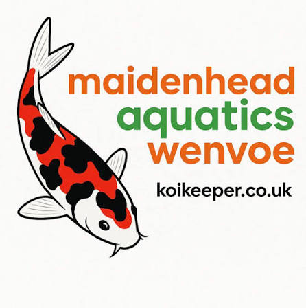 https://kigen.nl/wp-content/uploads/2026/09/Maidenhead-Aquatics-Wenvoe.jpeg