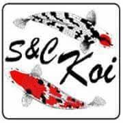 https://kigen.nl/wp-content/uploads/2026/09/S-C-Koi-Lincolnshire.jpeg