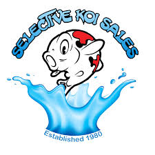 https://kigen.nl/wp-content/uploads/2026/09/Selective-Koi-Sales-Norfolk.jpeg