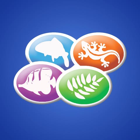 https://kigen.nl/wp-content/uploads/2026/09/Shirley-Aquatics-West-Mids.jpg