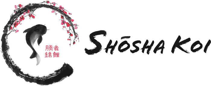 https://kigen.nl/wp-content/uploads/2026/09/Shosha-Koi-Rutland.png