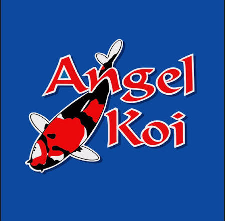 https://kigen.nl/wp-content/uploads/2026/09/angel-koi.jpeg