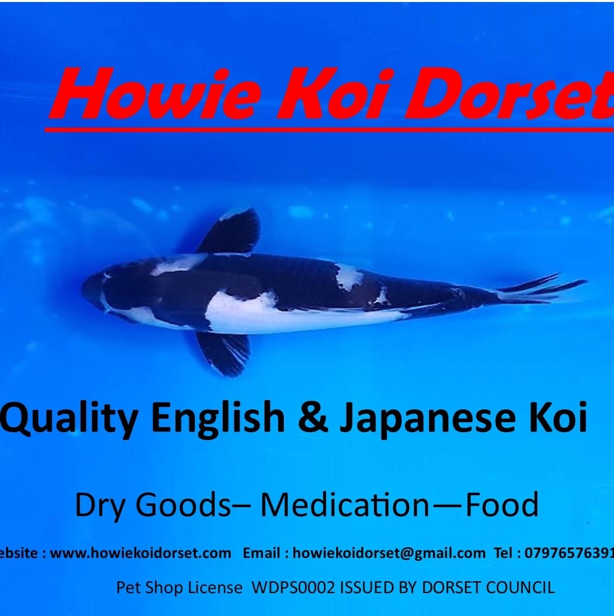 https://kigen.nl/wp-content/uploads/2026/09/howie-koi.jpg